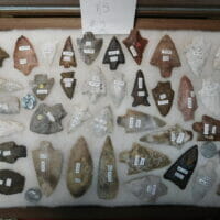 Sumpter Preform Chert | Fossils & Artifacts for Sale | Paleo Enterprises | Fossils & Artifacts for Sale