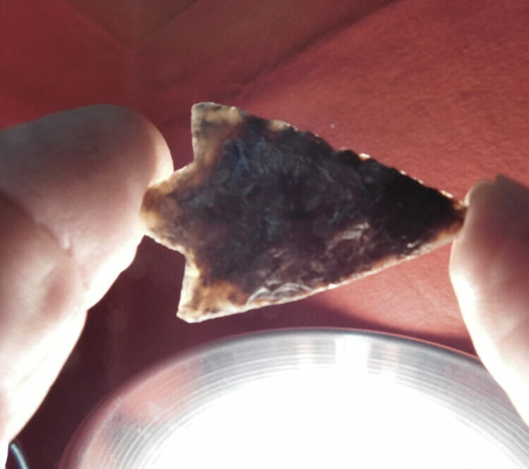 Hillsborough type arrowhead, Chert CT COA | Fossils & Artifacts for Sale | Paleo Enterprises | Fossils & Artifacts for Sale