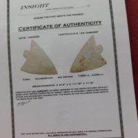 Hillsborough | Fossils & Artifacts for Sale | Paleo Enterprises | Fossils & Artifacts for Sale