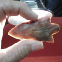 Newnan type arrowhead, Coral COA CT | Fossils & Artifacts for Sale | Paleo Enterprises | Fossils & Artifacts for Sale