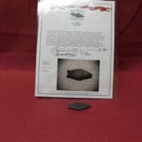 Paleo Cumberland Artifact | Fossils & Artifacts for Sale | Paleo Enterprises | Fossils & Artifacts for Sale