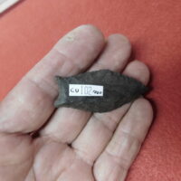 Paleo Cumberland Artifact | Fossils & Artifacts for Sale | Paleo Enterprises | Fossils & Artifacts for Sale