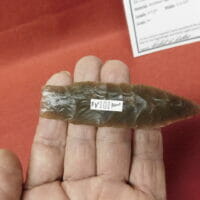 FirstView Butler COA | Fossils & Artifacts for Sale | Paleo Enterprises | Fossils & Artifacts for Sale