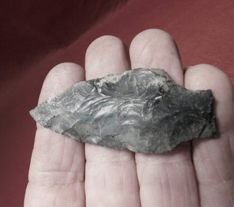 Putnam type arrowhead, Fl. Chert | Fossils & Artifacts for Sale | Paleo Enterprises | Fossils & Artifacts for Sale