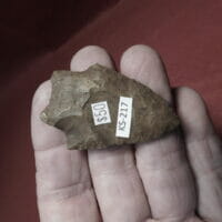 Arredondo Fl. Brooksville chert | Fossils & Artifacts for Sale | Paleo Enterprises | Fossils & Artifacts for Sale
