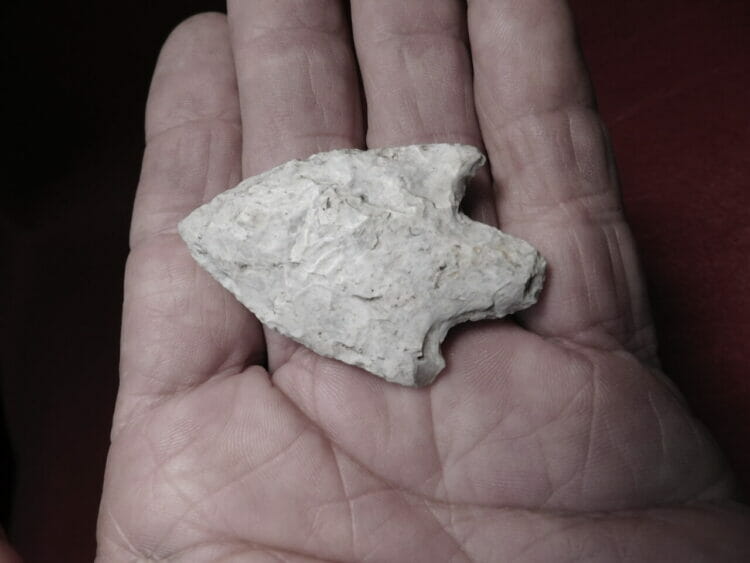 Cypress Creek type arrowhead | Fossils & Artifacts for Sale | Paleo Enterprises | Fossils & Artifacts for Sale