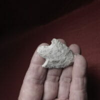 Cypress Creek type arrowhead | Fossils & Artifacts for Sale | Paleo Enterprises | Fossils & Artifacts for Sale