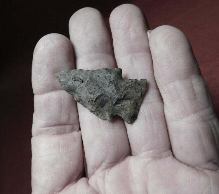 Bolen type arrowhead | Fossils & Artifacts for Sale | Paleo Enterprises | Fossils & Artifacts for Sale