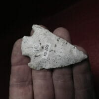 Fl. Lafayette type Artifact | Fossils & Artifacts for Sale | Paleo Enterprises | Fossils & Artifacts for Sale