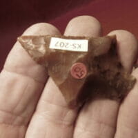 Fl. Abby type arrowhead Fl. Coral | Fossils & Artifacts for Sale | Paleo Enterprises | Fossils & Artifacts for Sale