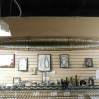 We Do Snake Skins 10' | Fossils & Artifacts for Sale | Paleo Enterprises | Fossils & Artifacts for Sale