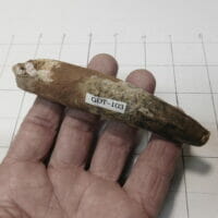 1 Spinosaurus Tooth Dinosaur fossil | Fossils & Artifacts for Sale | Paleo Enterprises | Fossils & Artifacts for Sale