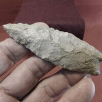 3 7/8" Angostura Very Fine Artifact | Fossils & Artifacts for Sale | Paleo Enterprises | Fossils & Artifacts for Sale