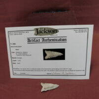 Dalton Very Fine Artifact | Fossils & Artifacts for Sale | Paleo Enterprises | Fossils & Artifacts for Sale