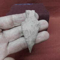 Texas Nolan Fine Artifact | Fossils & Artifacts for Sale | Paleo Enterprises | Fossils & Artifacts for Sale