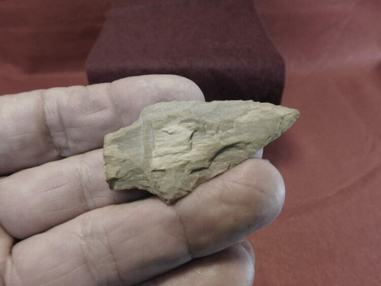 Shaniko Stemmed / Fossil Wood Artifact | Fossils & Artifacts for Sale | Paleo Enterprises | Fossils & Artifacts for Sale