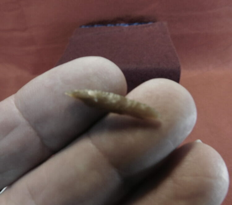 Agate Micro Drill Very Fine Artifact | Fossils & Artifacts for Sale | Paleo Enterprises | Fossils & Artifacts for Sale