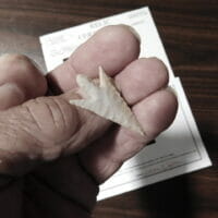 Texas Perdiz Projectile Point Artifact | Fossils & Artifacts for Sale | Paleo Enterprises | Fossils & Artifacts for Sale