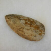 Archaic Blade | Fossils & Artifacts for Sale | Paleo Enterprises | Fossils & Artifacts for Sale