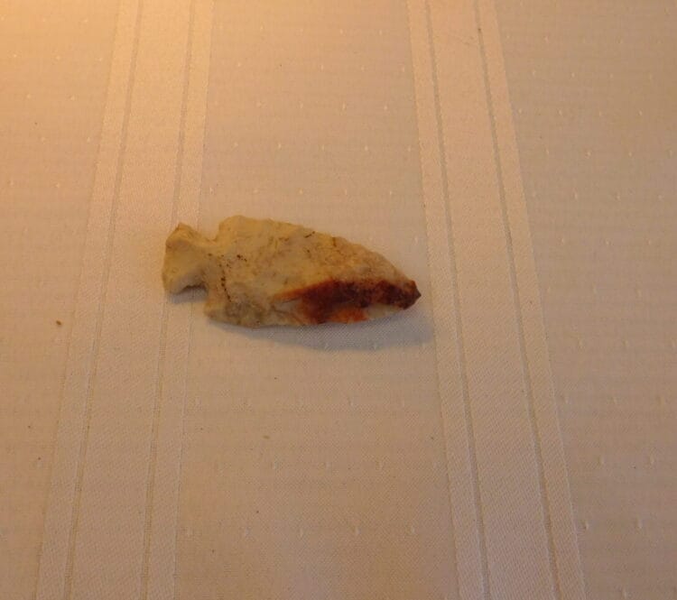 Beacon Island Native American Artifact - Translucent | Fossils & Artifacts for Sale | Paleo Enterprises | Fossils & Artifacts for Sale