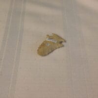 Bolen Beveled Arrowhead Artifact | Fossils & Artifacts for Sale | Paleo Enterprises | Fossils & Artifacts for Sale