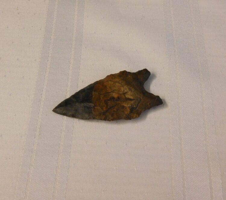 Chipola Variant Arrowhead Artifact | Fossils & Artifacts for Sale | Paleo Enterprises | Fossils & Artifacts for Sale