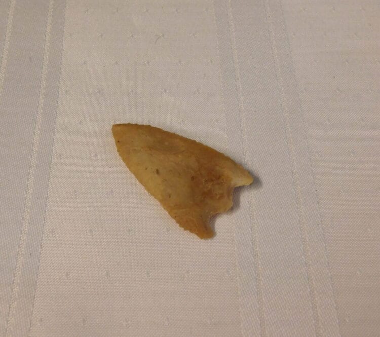 Citrus type arrowhead artifact Fl. chert | Fossils & Artifacts for Sale | Paleo Enterprises | Fossils & Artifacts for Sale