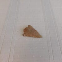 Citrus type arrowhead artifact Fl. | Fossils & Artifacts for Sale | Paleo Enterprises | Fossils & Artifacts for Sale