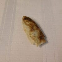 Columbia type arrowhead artifact FL | Fossils & Artifacts for Sale | Paleo Enterprises | Fossils & Artifacts for Sale