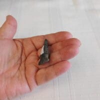 Columbia type arrowhead artifact FL | Fossils & Artifacts for Sale | Paleo Enterprises | Fossils & Artifacts for Sale