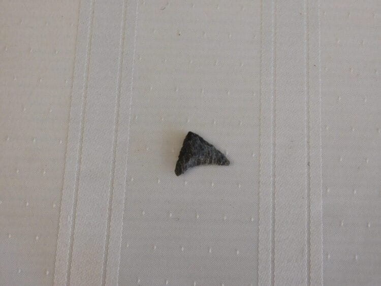 Crescent Knife point FL artifact | Fossils & Artifacts for Sale | Paleo Enterprises | Fossils & Artifacts for Sale