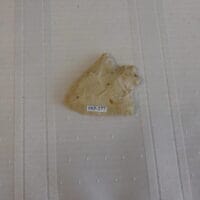 Fl. Abbey type arrowhead Fl. Coral | Fossils & Artifacts for Sale | Paleo Enterprises | Fossils & Artifacts for Sale