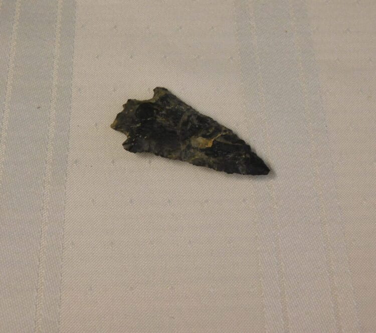 Fl. Kirk type arrowhead | Fossils & Artifacts for Sale | Paleo Enterprises | Fossils & Artifacts for Sale