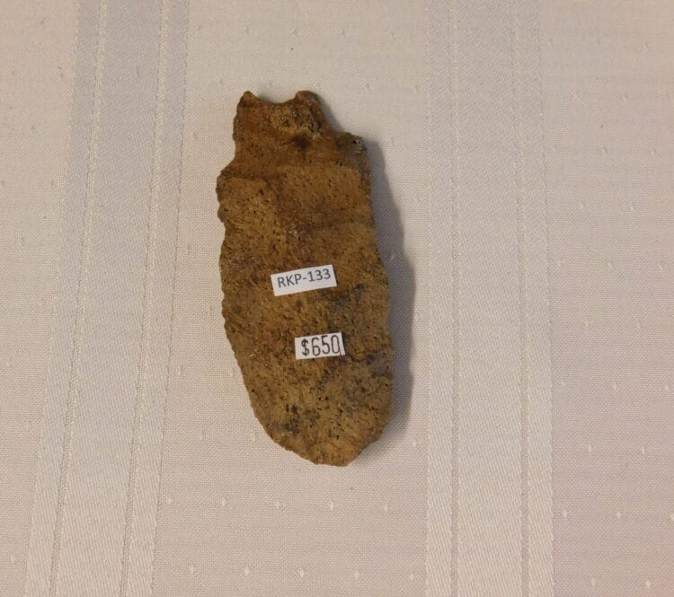 Fl. Simpson Bull Tongue artifact | Fossils & Artifacts for Sale | Paleo Enterprises | Fossils & Artifacts for Sale