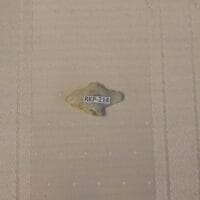 Fl. Tampa type arrowhead Fl. - Translucent | Fossils & Artifacts for Sale | Paleo Enterprises | Fossils & Artifacts for Sale