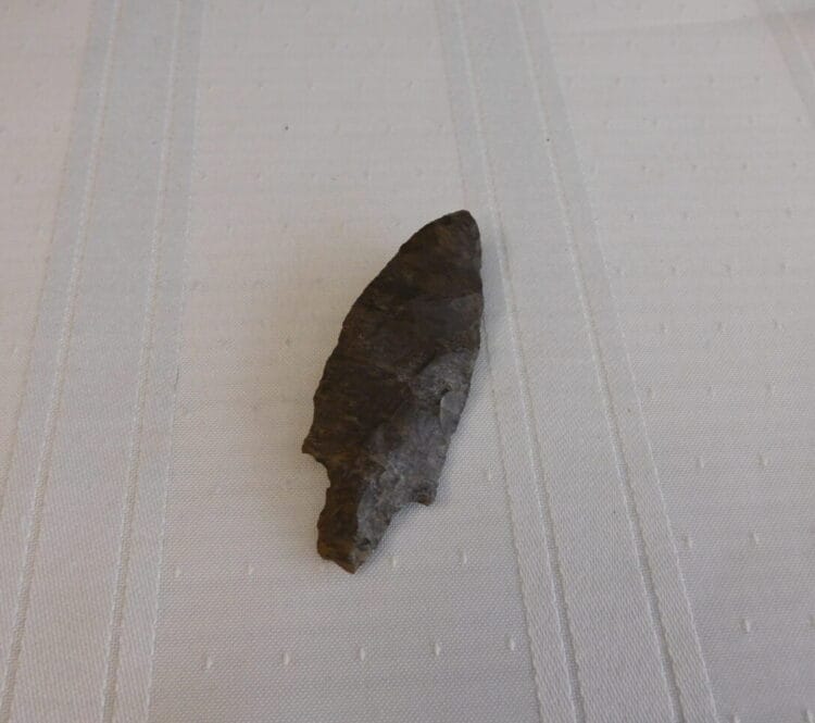 Flint River Native American Artifact | Fossils & Artifacts for Sale | Paleo Enterprises | Fossils & Artifacts for Sale