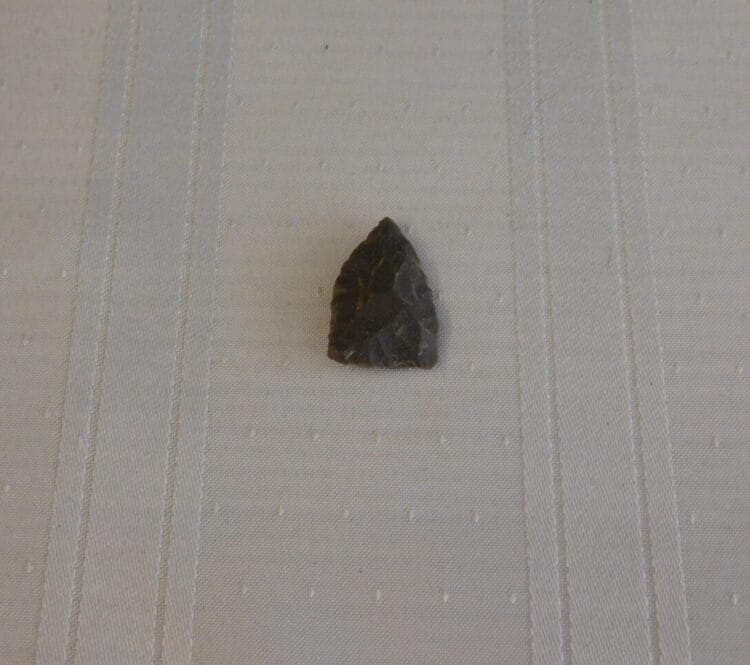 Flint River Triangle type point FL Artifact | Fossils & Artifacts for Sale | Paleo Enterprises | Fossils & Artifacts for Sale