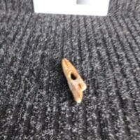 Inuit Harpoon Toggle- CERTIFIED | Fossils & Artifacts for Sale | Paleo Enterprises | Fossils & Artifacts for Sale