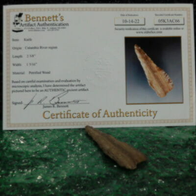 Knife, Petrified Wood – Certified