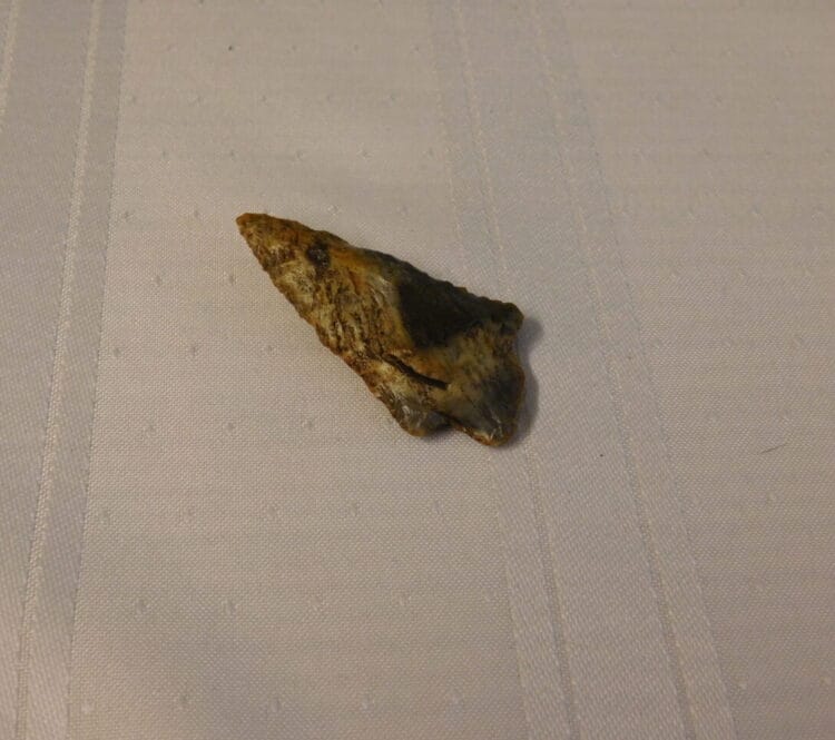 Levy type arrowhead Fl. Coral | Fossils & Artifacts for Sale | Paleo Enterprises | Fossils & Artifacts for Sale