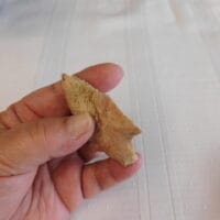 Marion type arrowhead | Fossils & Artifacts for Sale | Paleo Enterprises | Fossils & Artifacts for Sale