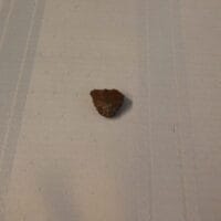 Micro Scraper type arrowhead, Fl. | Fossils & Artifacts for Sale | Paleo Enterprises | Fossils & Artifacts for Sale