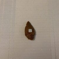 Oval Gem type point arrowhead Artifact | Fossils & Artifacts for Sale | Paleo Enterprises | Fossils & Artifacts for Sale