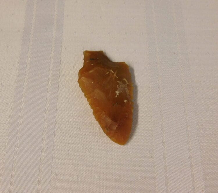 Pine Tree type point Artifact - Translucent Coral | Fossils & Artifacts for Sale | Paleo Enterprises | Fossils & Artifacts for Sale