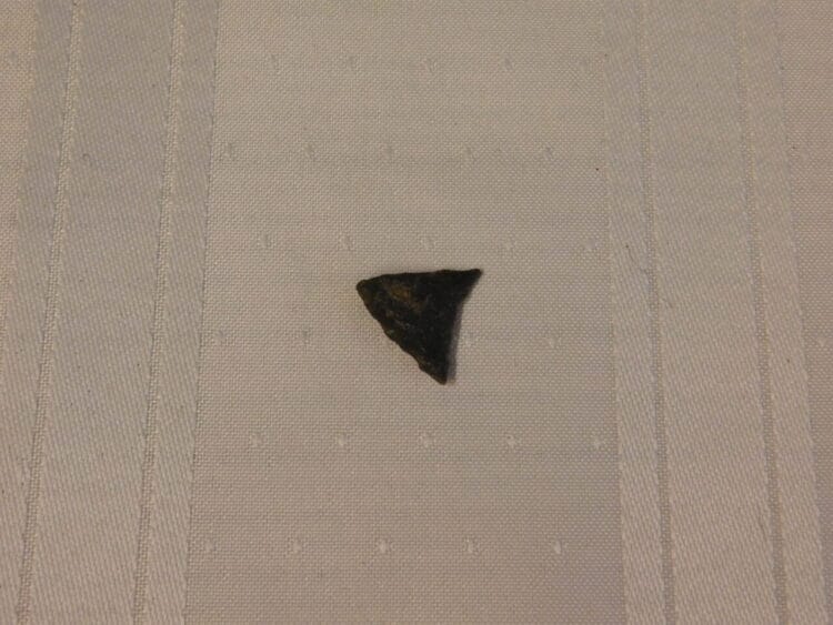 Triangle Projectile type point FL Artifact | Fossils & Artifacts for Sale | Paleo Enterprises | Fossils & Artifacts for Sale