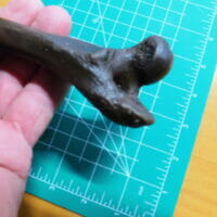 Wolf Femur | Fossils & Artifacts for Sale | Paleo Enterprises | Fossils & Artifacts for Sale
