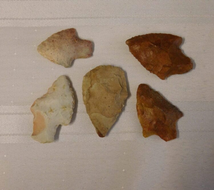 Group of 5 Fl. Arrowhead Artifacts | Fossils & Artifacts for Sale | Paleo Enterprises | Fossils & Artifacts for Sale