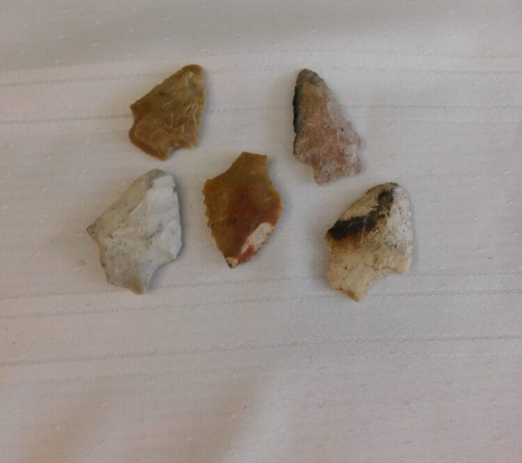 Group of 5 Fl. Arrowhead Artifacts | Fossils & Artifacts for Sale | Paleo Enterprises | Fossils & Artifacts for Sale