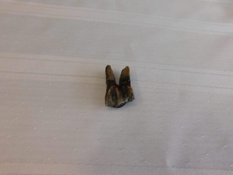 2024-02-12 23.08.50 2024-02-12 23.08.50