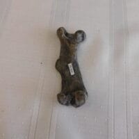 Castoroides Ohioensis - Giant Beaver Femur Fossil | Fossils & Artifacts for Sale | Paleo Enterprises | Fossils & Artifacts for Sale